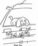 Coloring Pages Dog Car Pet Fisher Price Kids Breeds Breed Printable Comments Riding Dogs Library Clipart Way Popular Different Honkingdonkey sketch template