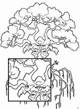 Duality Coloring Tree Root Inspirations Adults sketch template