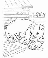Coloring Farm Pages Animal Pigs Animals Pig Kids Color Piggy Piglets Print Sheet Cute Printable Activities Crafts Diy Napping Diycraftsfood sketch template