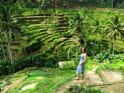 indonesia tegallalang rice terraces bali