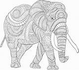 Coloring Pages Elephant African Animals Animal Cool Info Colouring Sheets sketch template