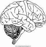 Cervello Umano Persone sketch template