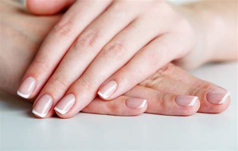 french manicured hand stock image image  body caucasian