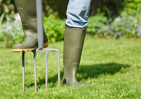 Lawn Care Lessons For Aerating Your Lawn In The Spring Best Pick Reports