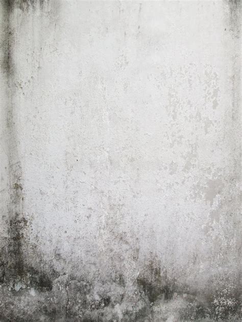 dirty white wall stock photo image