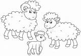 Moutons Pecore Agnello Agneau Sheep Lam Schapen Schaf Lamm Mehr sketch template