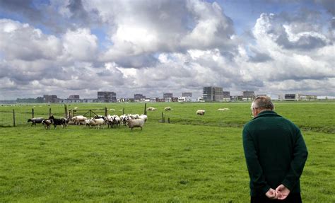 ontwerpend onderzoek groene hart nieuwsbericht college van rijksadviseurs