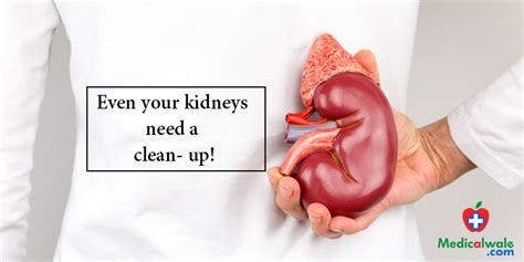 kidneys   clean  remedies  treat kidney stone