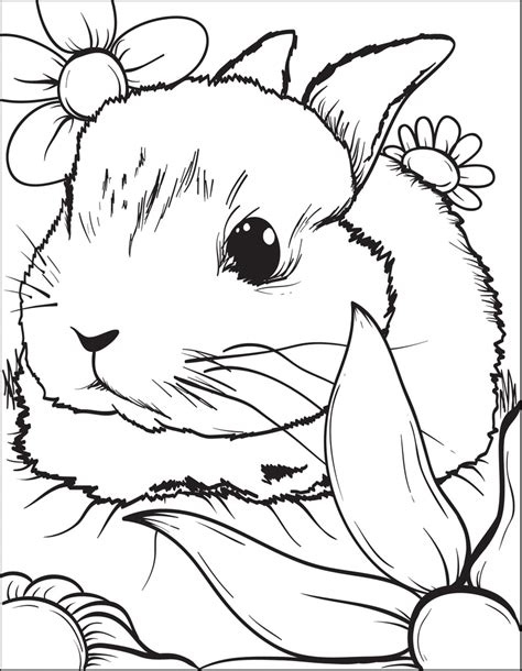 printable bunny rabbit coloring page  kids  supplyme