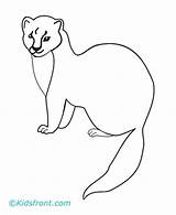 Marten Coloring Pages Martin Pine Kids Designlooter Printable Drawings Search 04kb 440px sketch template