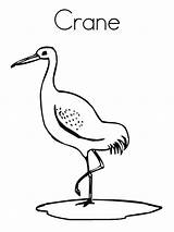Coloring Pages Crane Birds Cranes sketch template