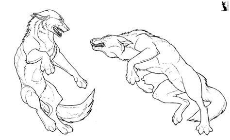 wolf fight drawing  getdrawings