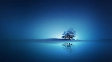 blue tree wallpapers top  blue tree backgrounds wallpaperaccess