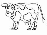 Cow Coloring Pages Cows Color Moo Clack Click Kids Drawing Type Animal Clipart Print Animals Gif Printables Chick Fil Cliparts sketch template