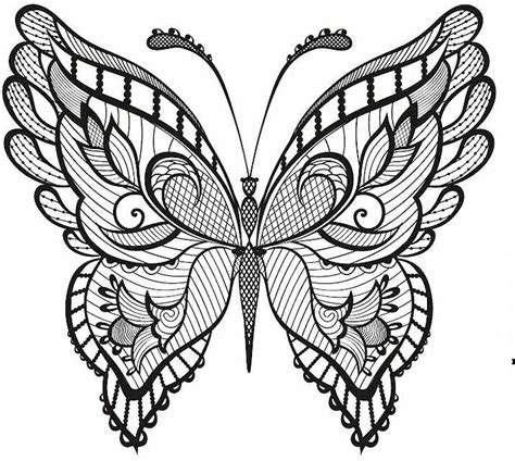 intricate butterfly print  drawing