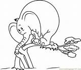 Horton Coloring Coloringpages101 Pages Color sketch template