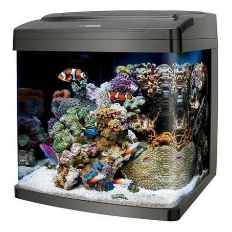 coralife biocube  aquarium lights tank kit gal walmartcom