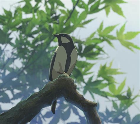 animated bird anime manga bird nature animal  garden  words