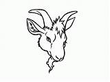 Goat Drawing Tattoos Head Tattoo Cute Coloring Face Goats Popular Paintingvalley Drawings Choose Board Coloringhome sketch template