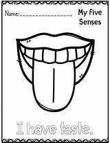 Senses Ecdn sketch template