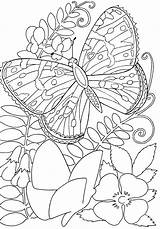Butterfly Coloring Pages Flowers Flower Kids Butterflies Color Printable Among Sheets Adult Adults Hard Insects Book Drawing Print Simple Supercoloring sketch template