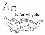 Alligator Coloring Pages Kids Letter Printable Print Tracing Crocodile Sheets Trace Preschool Color Sheet Lawteedah Alligators Activity Baby Cute Printables sketch template