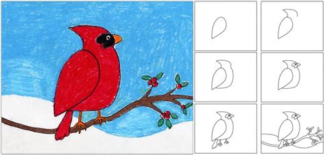draw  cardinal art projects  kids