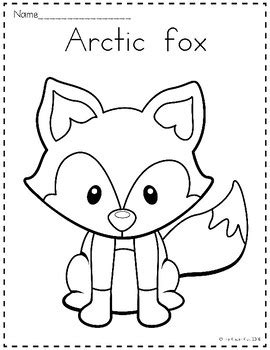 arctic animals coloring pages   kinder kids tpt