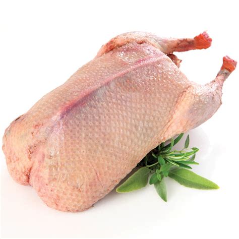 nutritional   duck meat  human health  poultry guide