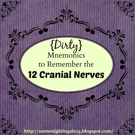 dirty mnemonics  remember   cranial nerves