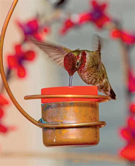 copper hummingbird feeder decorative hummingbird feeder