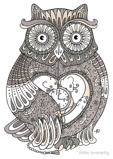 pin  owl pictures drawings