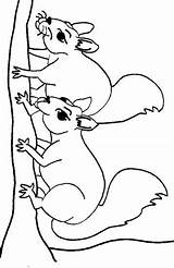Eekhoorn Kleurplaat Kleurplaten Squirrel Praying Stemmen Maestro Dominical sketch template