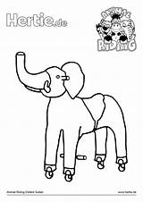 Elefant Maus Pferde Reiterin Hertie Ausmalbild Hase Malvorlage Ausdrucken Zentangle Downloaden sketch template