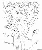 Koala Cuddle Coloringhome sketch template