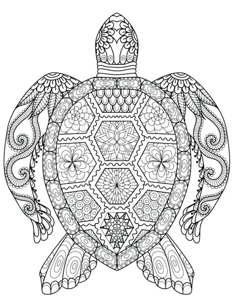 turtle coloring pages   coloring sheets turtle coloring