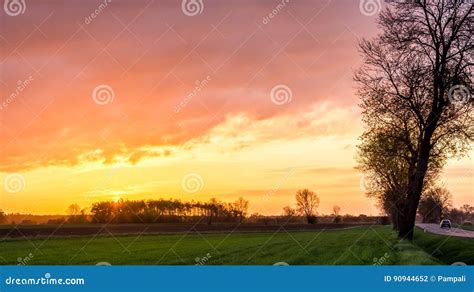 zonsopgang  het gebied en de boom stock foto image  kleuren zonlicht