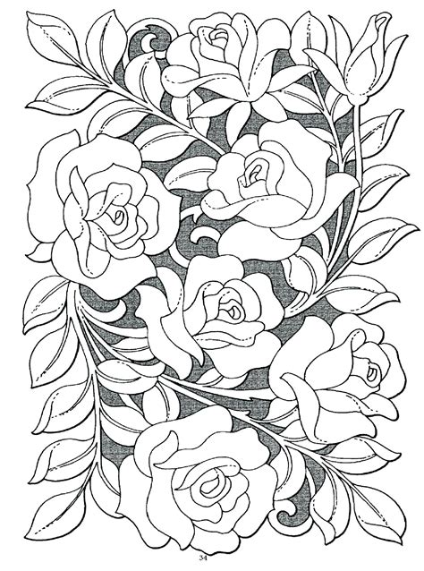 rose garden coloring pages  getcoloringscom  printable