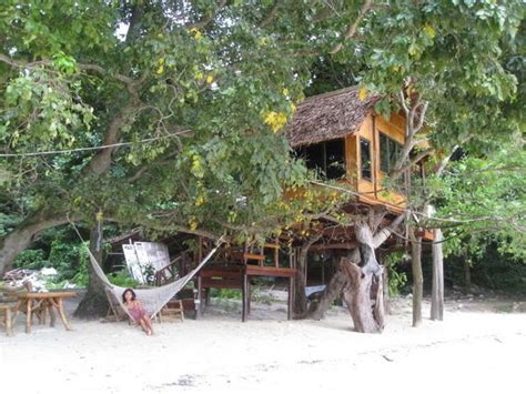 treehouse  thailand tree house backyard structures tree house designs