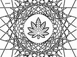 Marijuana Adults sketch template