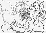 Patreon Peony Traceable Traceables Peonies sketch template