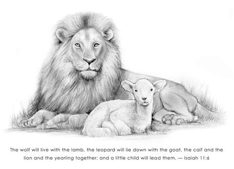 lion  lamb coloring page references cosjsma
