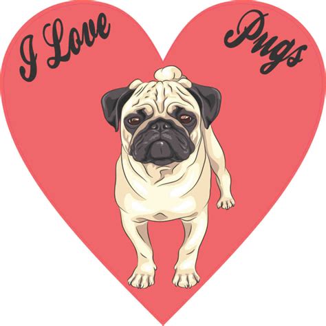 love pugs heart bumper sticker vinyl cup decal car stickers