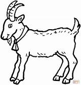 Colorir Bode Goat Imprimir sketch template