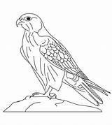 Falcon Coloring Pages Printable صقر Kids Sakr Color Para Alfabeto árabe Bird Hawk Peregrine Artesanía Del Cartoon Colorear Book Animal sketch template