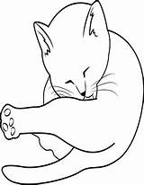 Katze Putzt Ausmalbilder Katzen sketch template