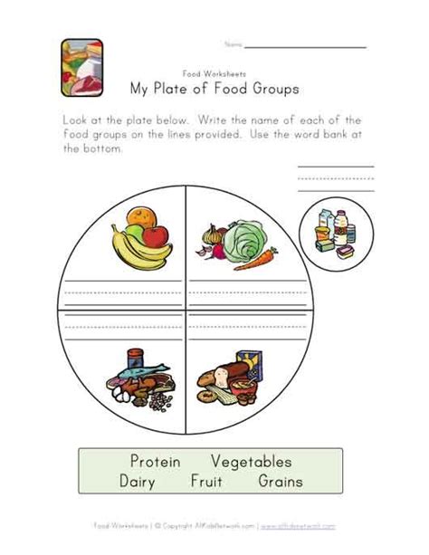 food group worksheets grade