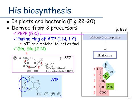 biosynthesis powerpoint    id