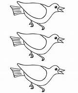 Bird Trace Patterns Library Clipart Perching Coloring Popular Coloringhome sketch template