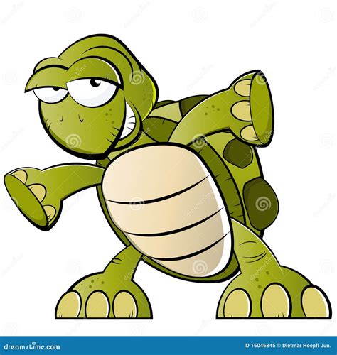 cartoon turtle royalty  stock photo image